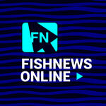 Специалисты Россельхозбанка на онлайн-конференции Fishnews рассказали о различных инструментах для проведения платежей с Китаем
