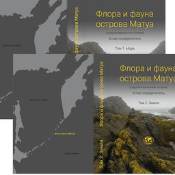 Книгу издали в двух томах — «Море» и «Земля». Фото пресс-службы ДВО РАН