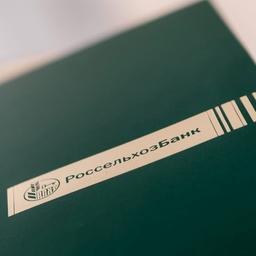 Россельхозбанк объявил новые — более выгодные — условия предоставления услуг. Фото пресс-службы