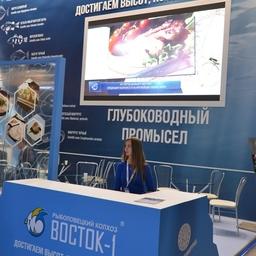 Рыболовецкий колхоз «Восток-1», выбрав для себя направление глубоководного промысла, с начала 2000-х в несколько этапов осуществил масштабную модернизацию флота