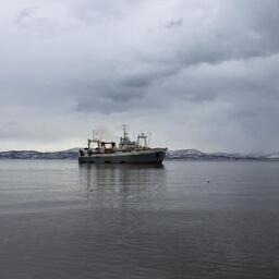 К 19 сентября отечественные предприятия добыли более 4,05 млн тонн водных биоресурсов