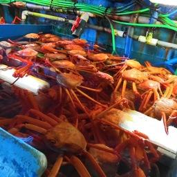 На борту нарушителя осмотровая группа насчитала более 6800 особей красного краба-стригуна. Фото пресс-группы Пограничного управления ФСБ России по Приморскому краю