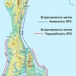 Встречаемость меток Анивского и Таранайского ЛРЗ в 2012 г. на участке побережья Сахалина от Томаринского до Поронайского районов. Рисунок с сайта Сахалинрыбвода.