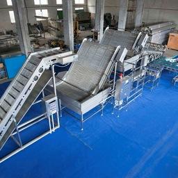 Линия для сортировки креветки – изготовлена Moon Tech с использованием материалов и технологических узлов, которые не нуждаются в обслуживании