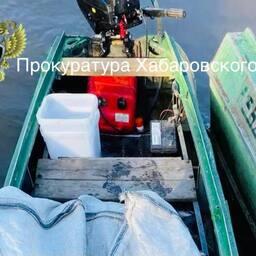 В Хабаровском крае завершили расследование уголовного дела в отношении троих рыбаков, нелегально ловивших кету. Фото пресс-службы региональной прокуратуры