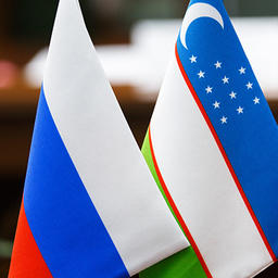 Россия и Узбекистан будут сотрудничать в рыбной отрасли. Фото пресс-службы Минобороны