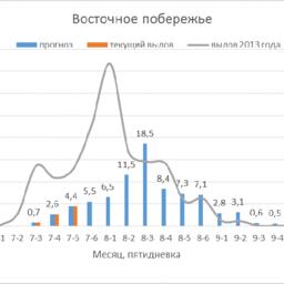 Динамика вылова горбуши на восточном побережье острова Сахалин в 2013 и 2015 гг. и скорректированный прогноз хода промысла. Рисунок пресс-службы СахНИРО
