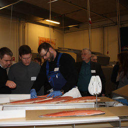 Salmon Showhow-2011