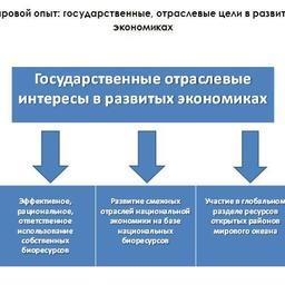 Рис. 2. Мировой опыт: государственные, отраслевые цели в развитых экономиках