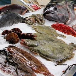 «Сертификаты здоровья» получают в том числе поставщики продукции из водных биоресурсов