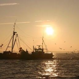Промысловое судно в Северном море. Фото Arne Nordmann («Википедия»)