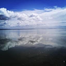 Чогарайское водохранилище. Фото Ivershin («Википедия»)