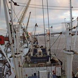 Судно на мойвенной путине. Фото пресс-службы Росрыболовства