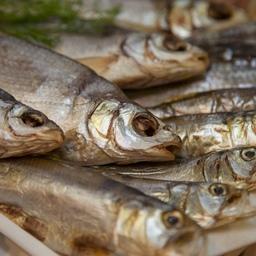 В список продукции под субсидии вошла и готовая рыбопродукция