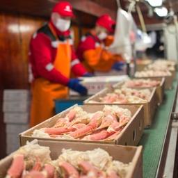 Производство продукции на судне «Русского краба». Фото предоставлено группой компаний