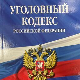 Мужчину признали виновным по части 1 статьи 258.1 и пункту «б» части 4 статьи 171.1 УК РФ