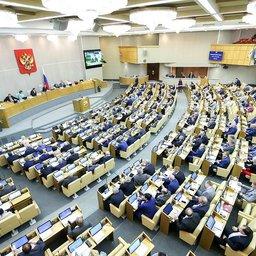 Заседание Госдумы. Фото с сайта нижней палаты парламента