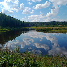 Урочище «Высокое» в Устьянском районе — один из отобранных водоемов. Фото предоставлено министерством АПК и торговли Архангельской области 