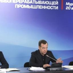 Вопросы рыбной отрасли обсудили на совещании у премьер-министра Дмитрия МЕДВЕДЕВА. Фото пресс-службы Правительства РФ