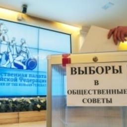 Объявлен конкурс в Общественный совет при Федеральном агентстве по рыболовству. Фото пресс-службы Общественной палаты