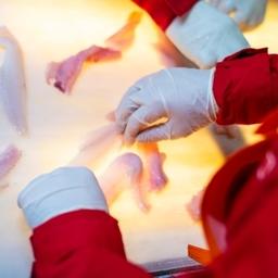 Русская рыбопромышленная компания успешно прошла сертификацию производства продукции на БМРТ «Иван Калинин». Фото пресс-службы РРПК
