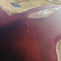 Последствия нефтеразлива в Норильске. Фото пресс-службы Росприроднадзора