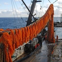 Ученые разберутся в причинах недолова. Фото пресс-службы ФАР