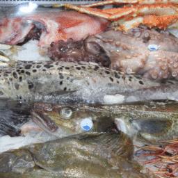 The European Seafood Exposition