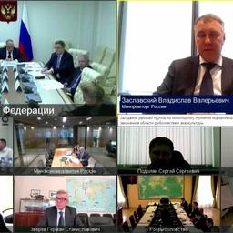 Рабочая группа по мониторингу принятия нормативно-правовых актов в сфере рыболовства и аквакультуры в Совете Федерации проходила с видеоподключением участников