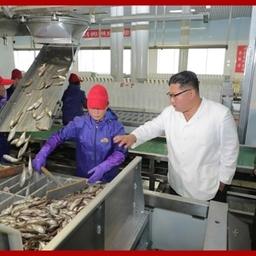 Фотографии КИМ Чен Ына на рыбохозяйственных предприятиях опубликовала «Нодон синмун»