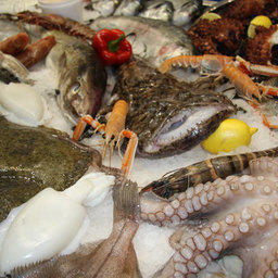 Выставка "Interfish 2009"