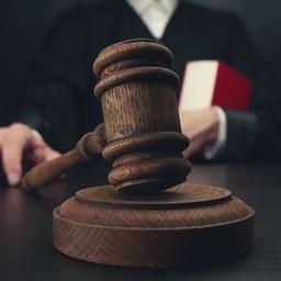 Наказанием за хранение и перевозку туш и икры калуги стали год исправительных работ и штраф в 250 тыс. рублей