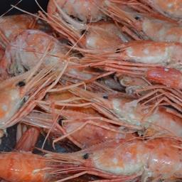 Среди морепродуктов, которые задерживаются из-за мышьяка, – креветка
