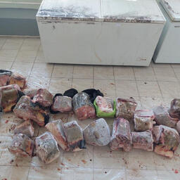 «Краснокнижная» продукция хранилась в гаражных боксах. Фото пресс-службы УМВД по Хабаровскому краю