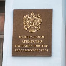 Росрыболовство запланировало еще две заявочные кампании по распределению инвестиционных квот — как по первому, так и по второму этапу