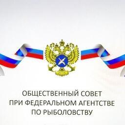 Первое в этом году заседание Общественного совета при Росрыболовстве планируется провести 13 марта