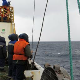 Во время рейса ученые взяли пробы для изучения загрязнения промысловых видов и среды их обитания. Фото пресс-службы ВНИРО