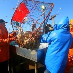 Промысел краба на Дальнем Востоке