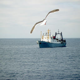 Минэкономразвития готово поддерживать российских рыбаков