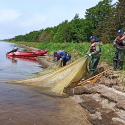 В рамках первого этапа исследований ученые выполнили большой объем работ. Фото пресс-службы ВНИРО