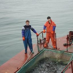 Курсанты ВМРК проходят практику на учебно-производственных судах