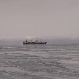 Российские рыбаки к середине февраля выловили 570 тыс. тонн водных биоресурсов