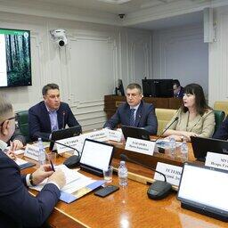 Предложения Архангельской области по критериям эффективности для участков озвучили на заседании профильного комитета Совфеда. Фото пресс-службы СФ