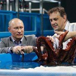 Глава государства Владимир ПУТИН и вице-президент РАН Андрей АДРИАНОВ в Приморском океанариуме. Фото с сайта PrimaMedia 