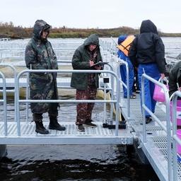 Перед выпуском специалисты определили навесок, численность и чистый вес молоди. Фото пресс-службы администрации Тазовского района
