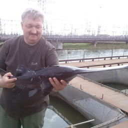Заведующий Лучегорской НИС Дмитрий Амвросов с американским веслоносом