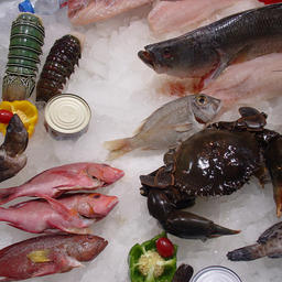 Продукция китайского рыбохозяйственного комплекса
