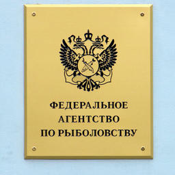 На заседании 17 марта Общественный совет при Росрыболовстве рассмотрит итоги работы ведомства за 2019 г.