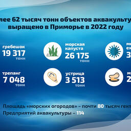 Марикультура Приморья прибавила в производстве. Инфографика пресс-службы регионального правительства