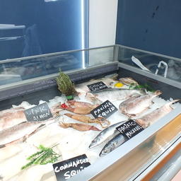 Продукцию предприятия продемонстрировали китайскому бизнесу